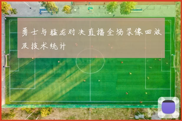 勇士与猛龙对决直播全场录像回放及技术统计
